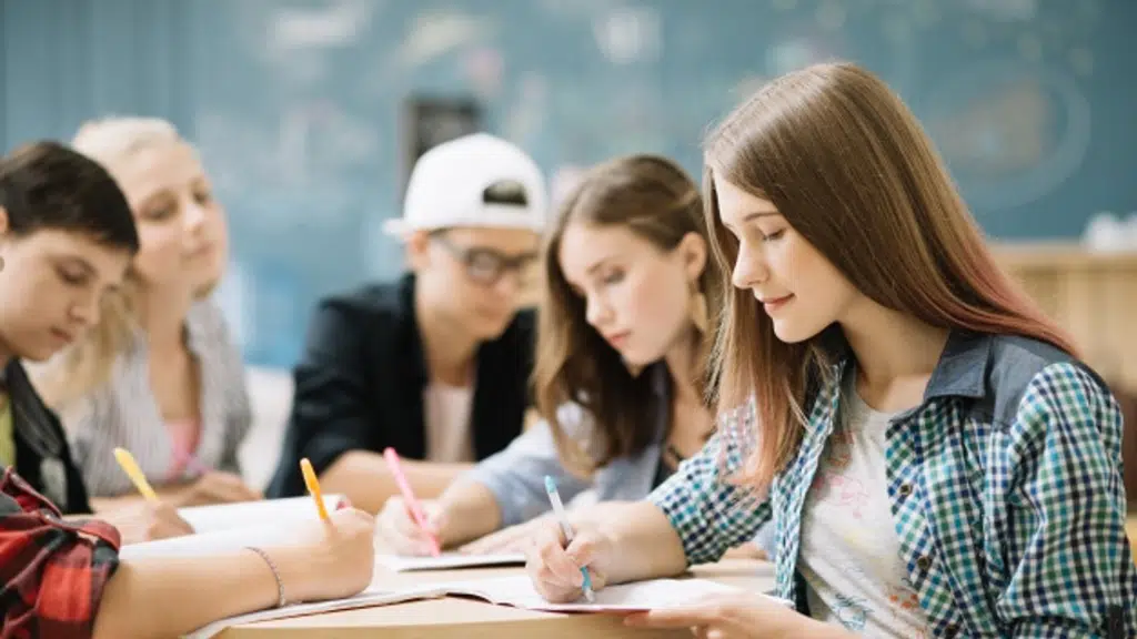 Higher Education School