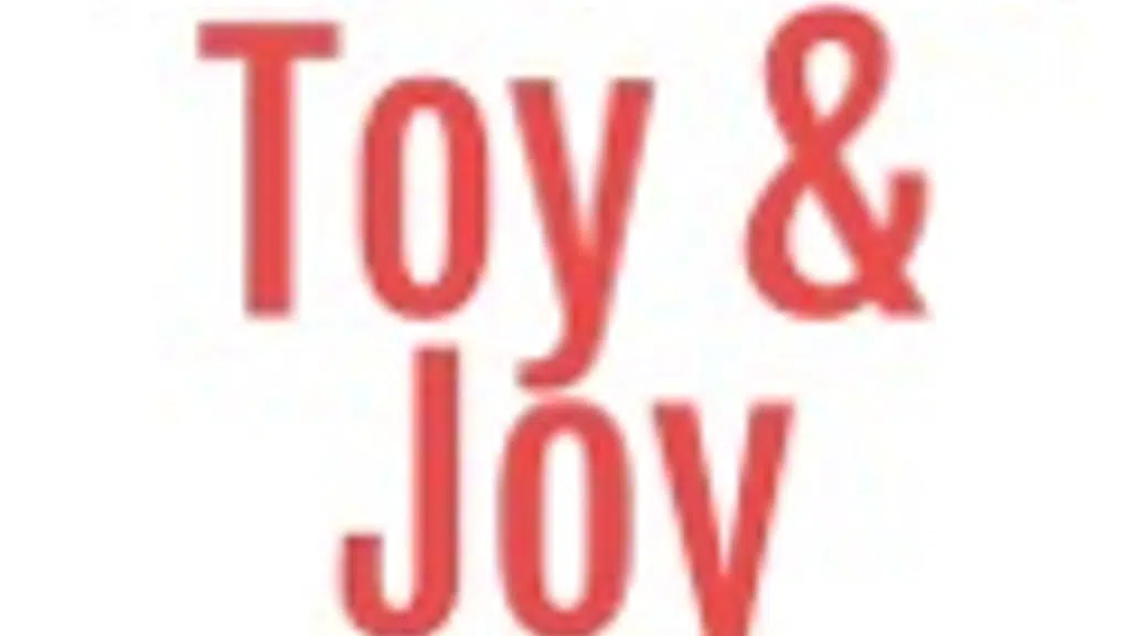 Toy N Joy