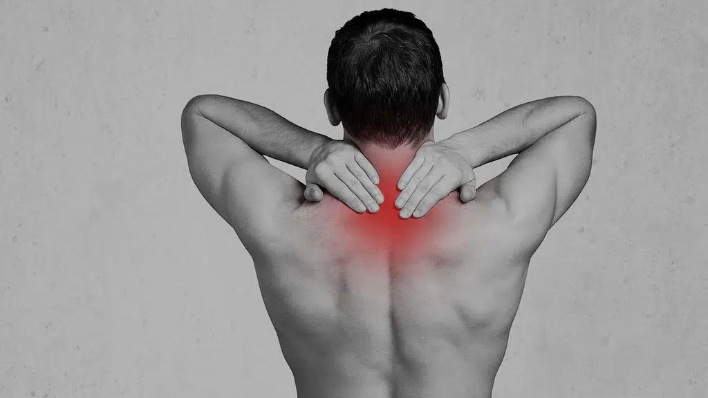 Pulse Physios