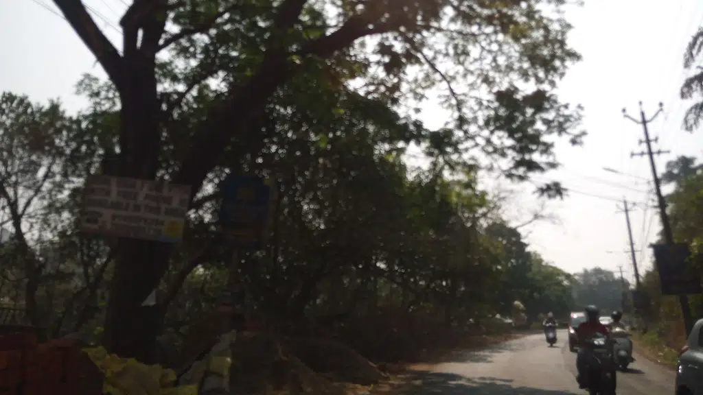 Novi Survat Goa