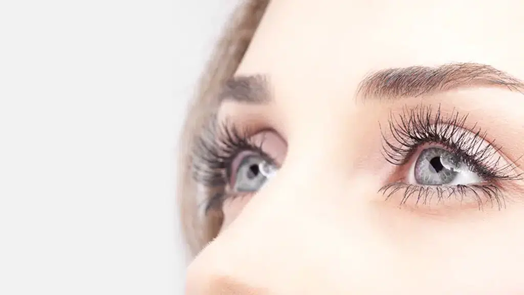 Orbit Eye Hospital