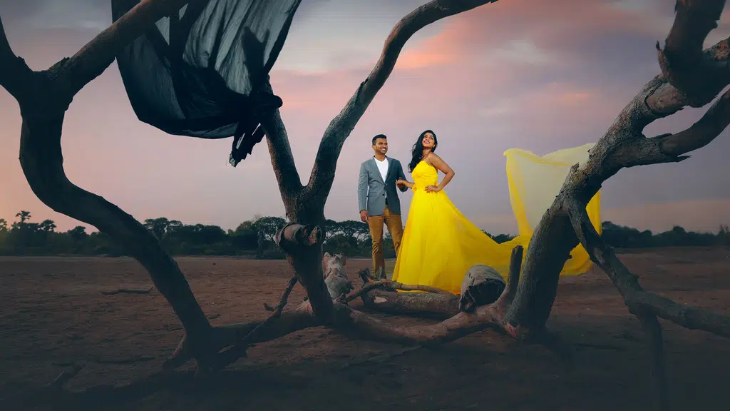 Matrimonial Vivah