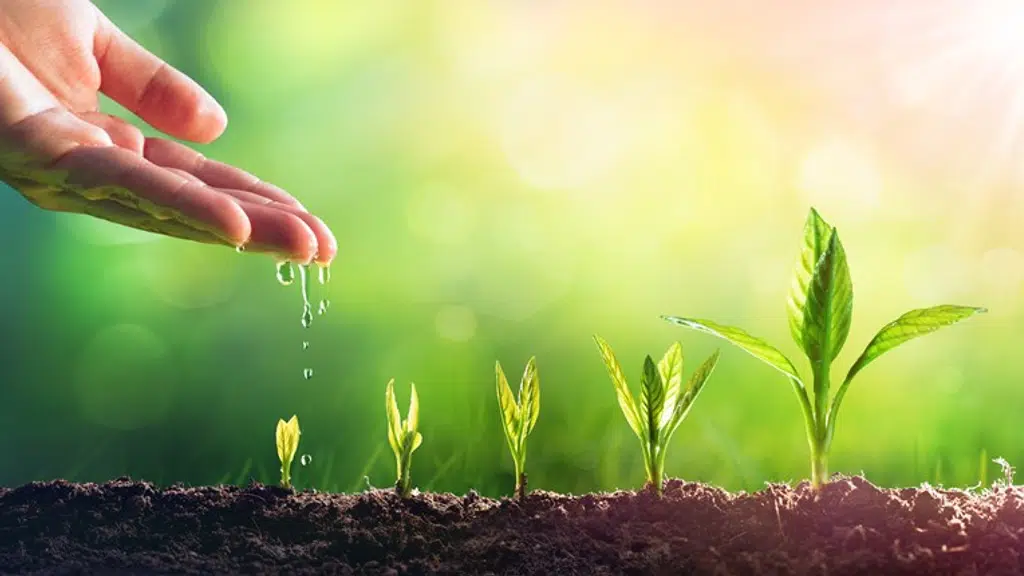 Arihant Bio Fertichem Private Limited