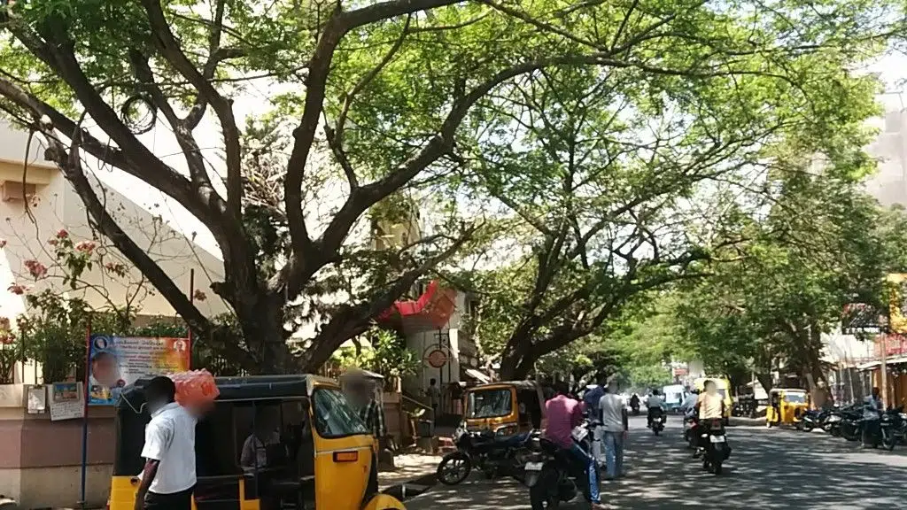Sri Sathia Sai Travels