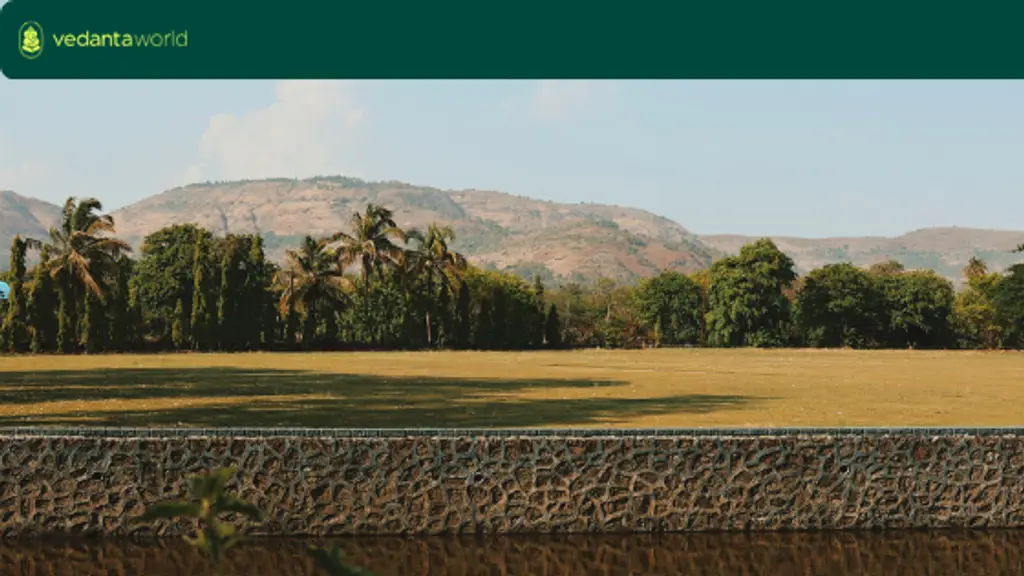 Vedanta Academy