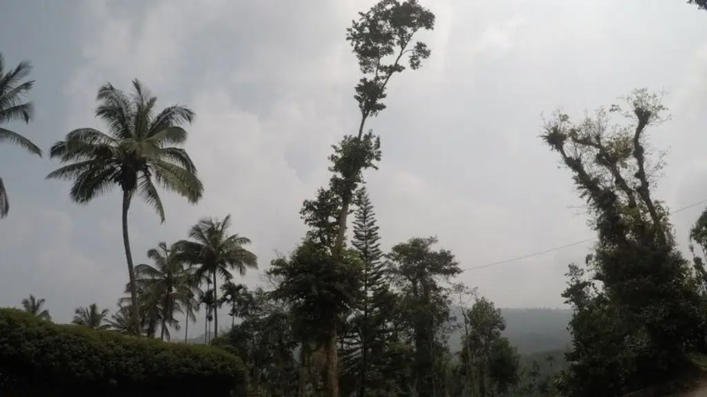 Sudarshan Homestay