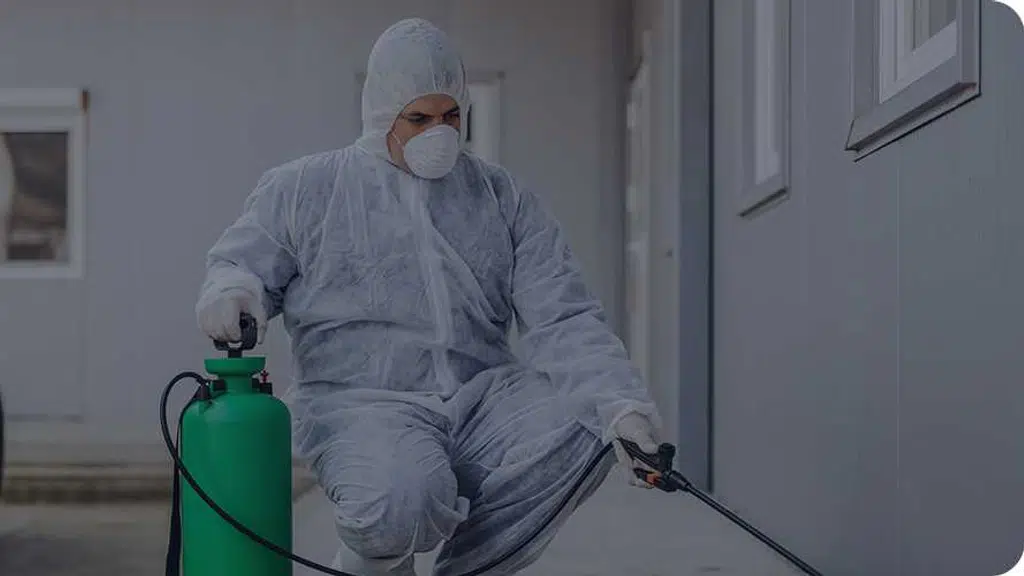 Pure Pest Control (Termite & Pigeon Solutions In India)