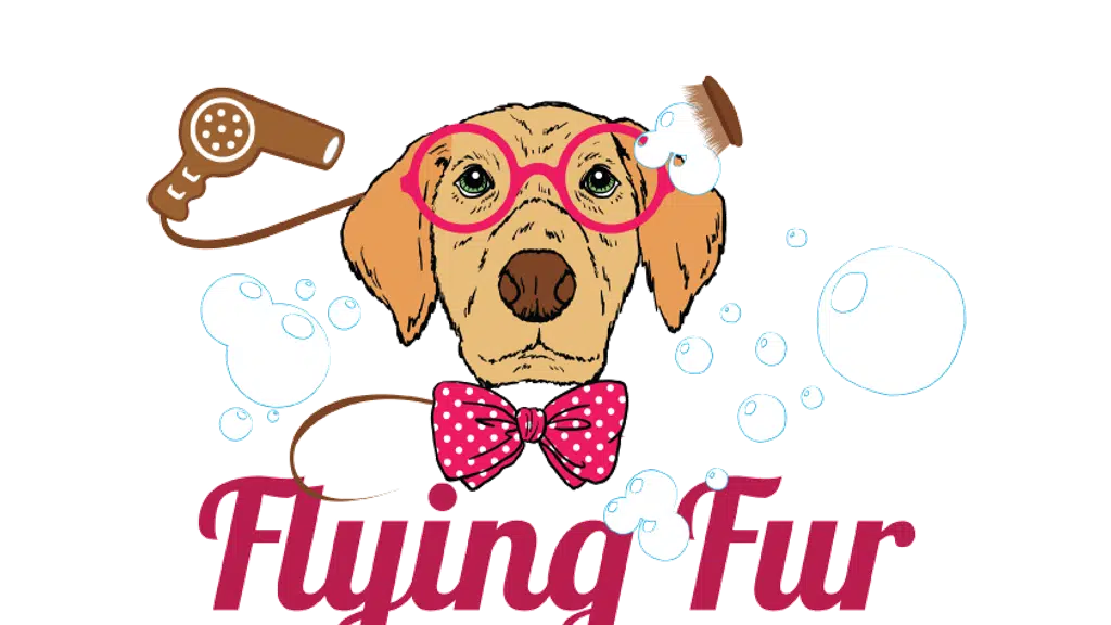 Flying Fur Gurgaon