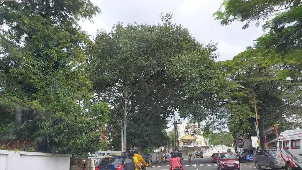 Hotel Ayyappavilasam