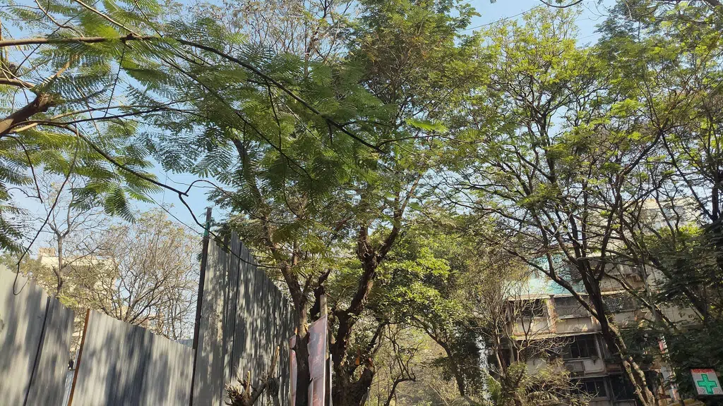 P.G.Garodia Conservatoire