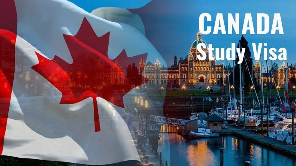 Bhoomi Overseas | Best Study visa Consultancy