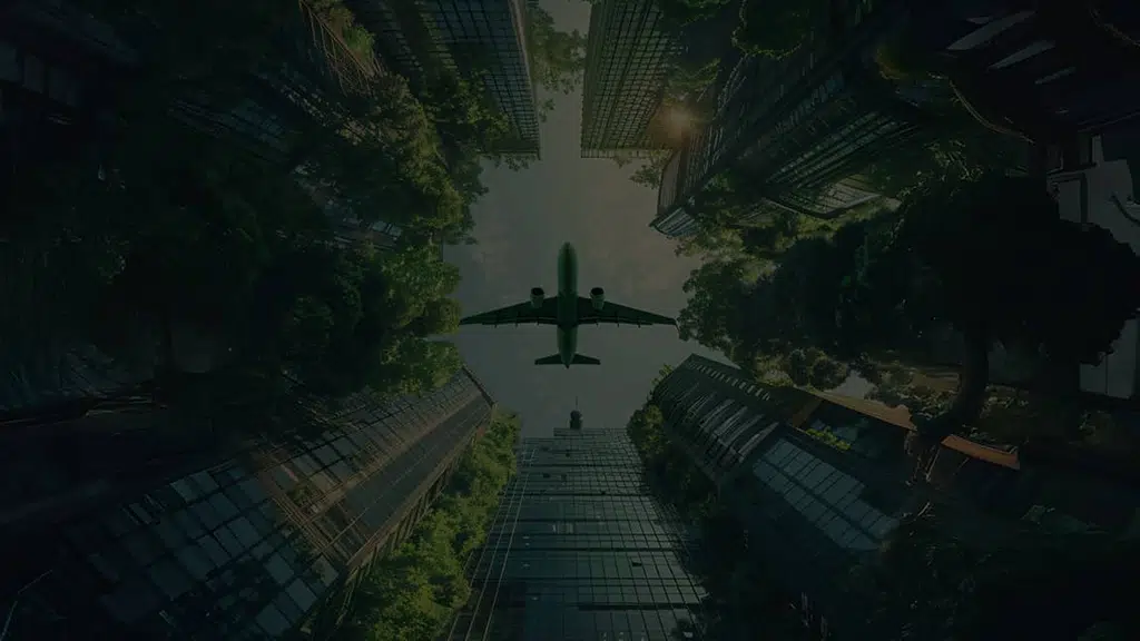 Scrj Real Estate