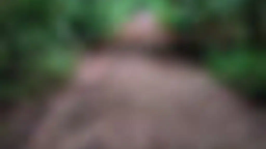ಬೆಂಗಳೂರು ವಿಶ್ವವಿದ್ಯಾನಿಲಯ ಜೀವ ವೈವಿಧ್ಯ ವನ  Bengaluru University Bio-Park