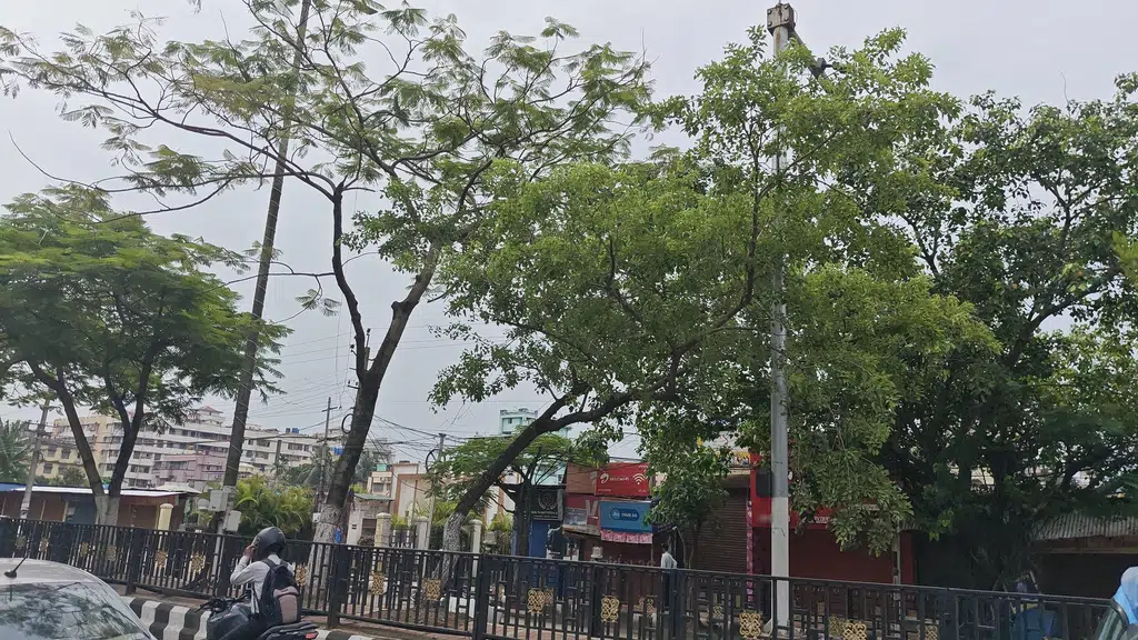 Adabari Tiniali Shiv Mandir