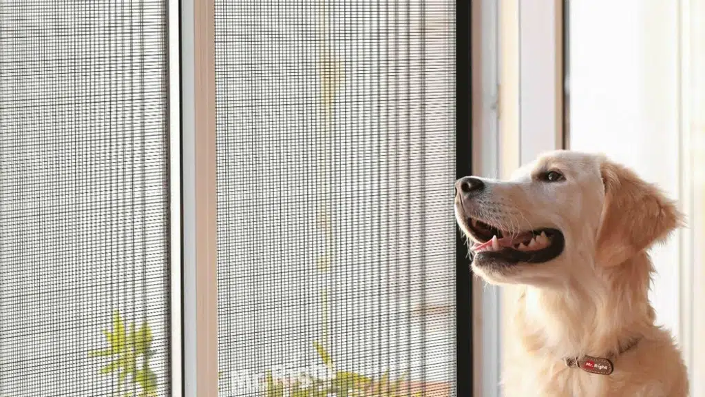 ModerNet Pvt. Ltd. - Invisible Grill