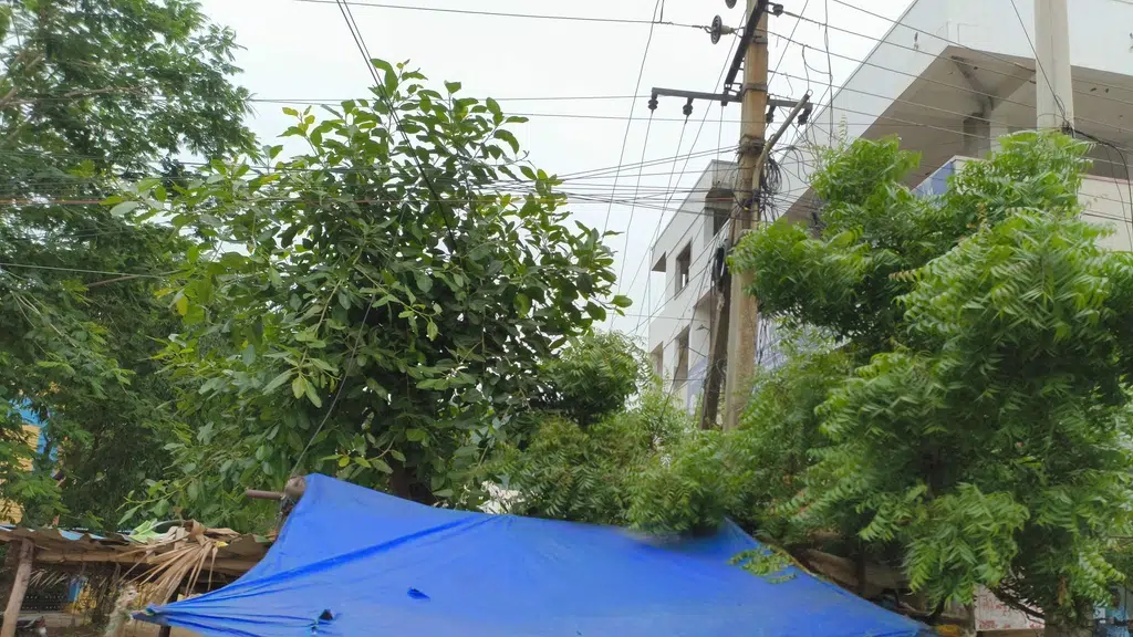 MedPlus Aphb Colony Pm Palem