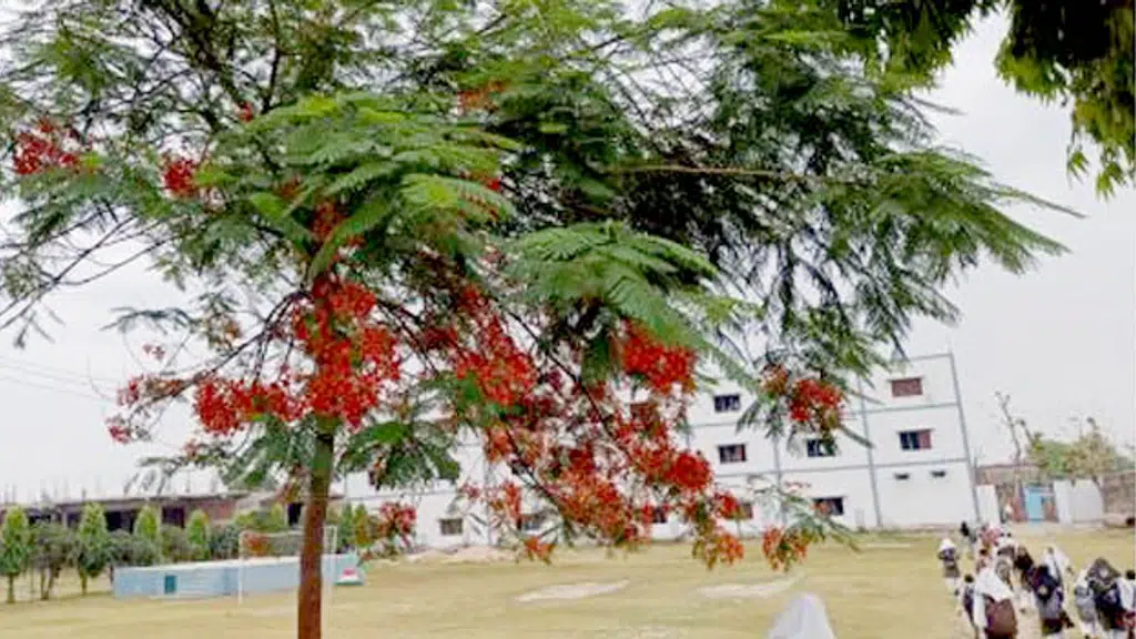 Mother Haleema Public School, Bhadohi