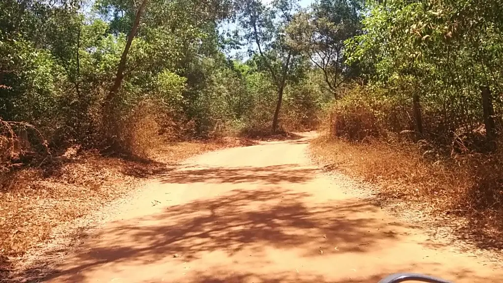 The Well Auroville beach side guest house