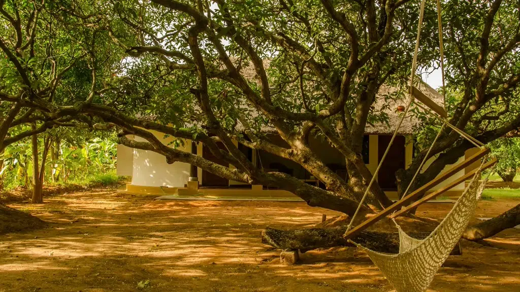 Mango Mulch Homestay
