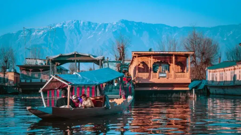 Brown Chinar Kashmir: Best Tour & Travel Agency Kashmir