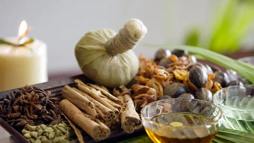 Neurobase Brain and Spine Excellence Speciality Centre for Ayurveda and Physiotherapy