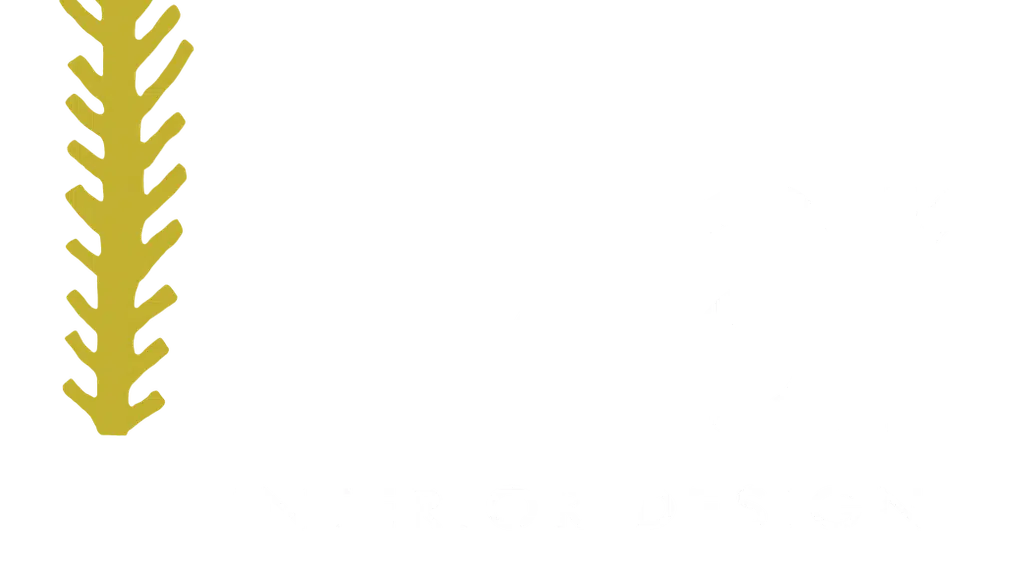 Saar Interior Design | Interior Designer In Vadodara | Best Interior Designer In Vadodara | Home Decor