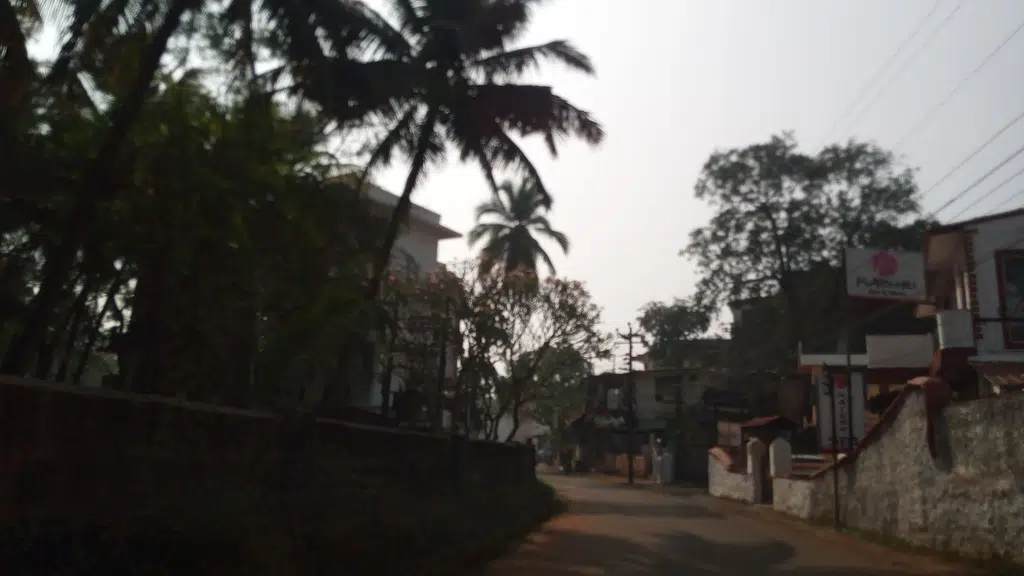 The Calissa Calangute - Goa
