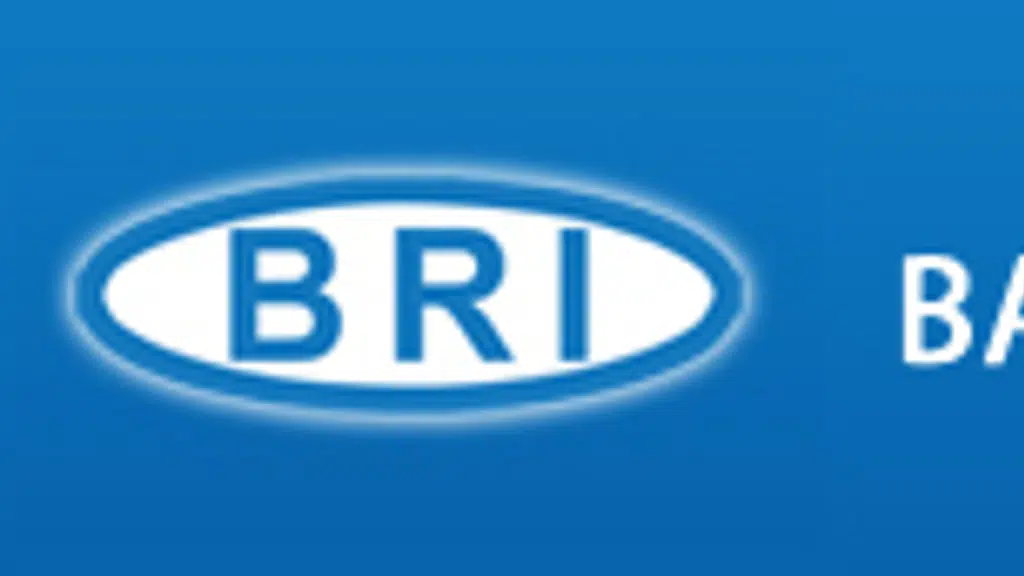 Balaji Rubber Industries Pvt. Ltd.