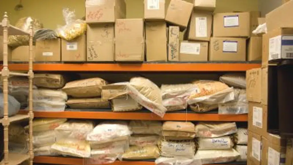 Transline packers and movers