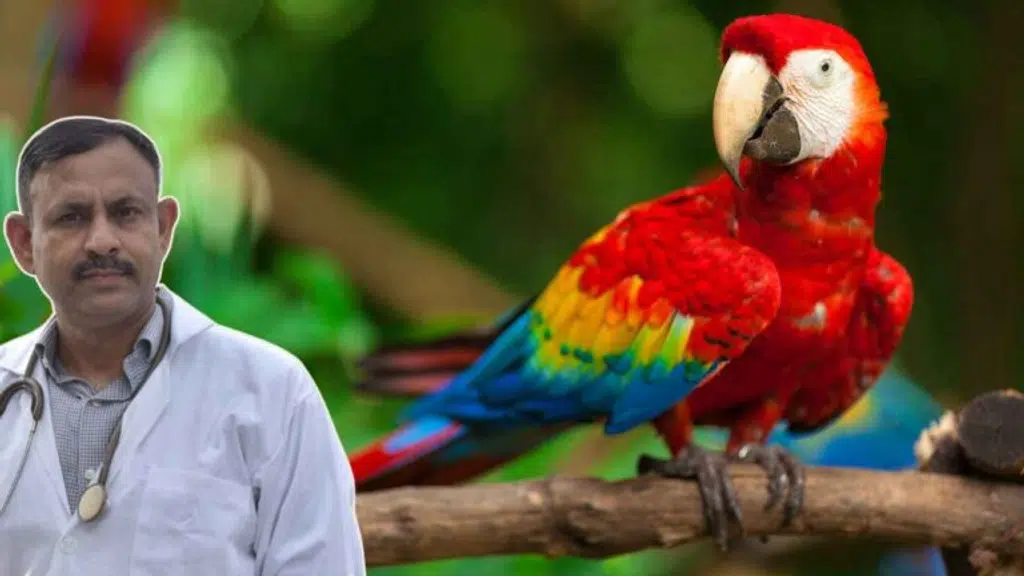 Pets & Birds Clinic - Ashok Vihar Delhi 110052