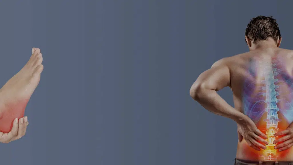 The Body Rehab