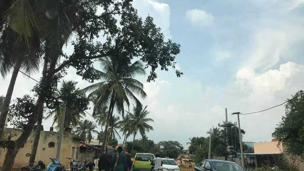 Janata Bazar