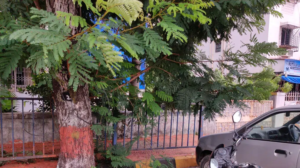 Kaveri Tyres