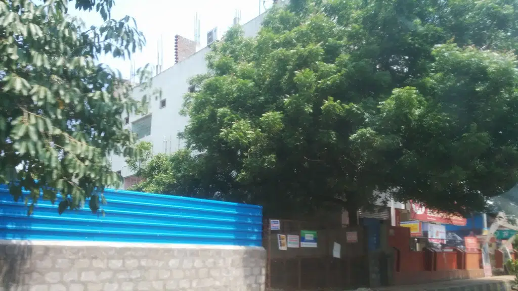 Kalpavruksha ayurvedic pharmacy
