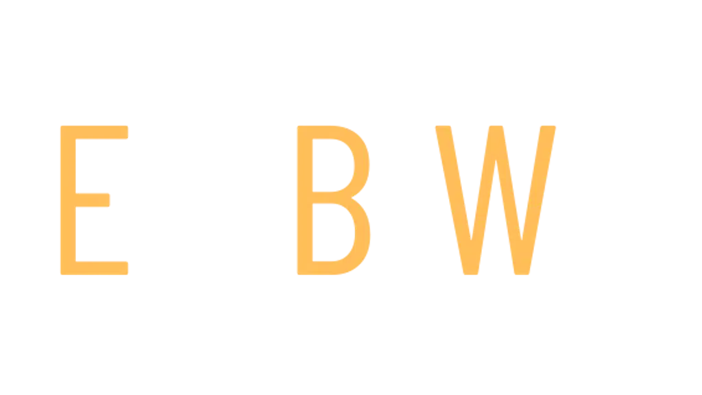 The BW School - Digital Marketing Course
