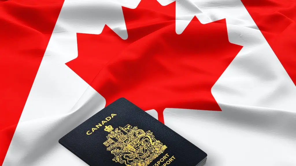 Blue Berries Immigration Pvt. Ltd.