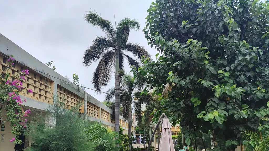 Islamia Girls College Malerkotla