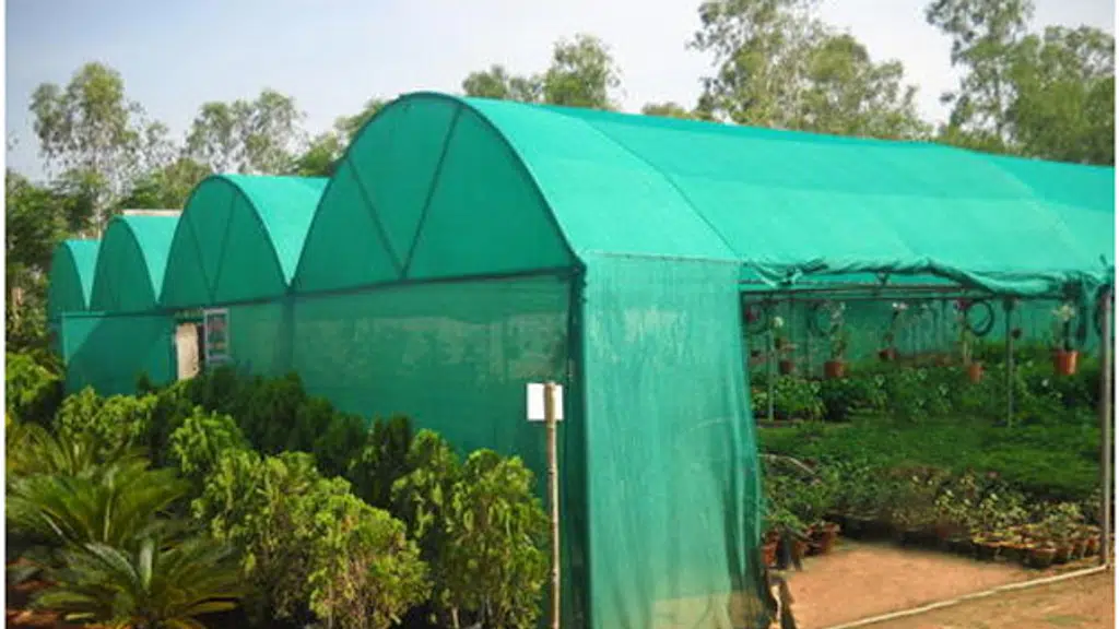 Neha Shade Net