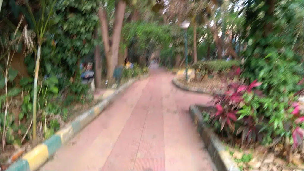 MCHS Park