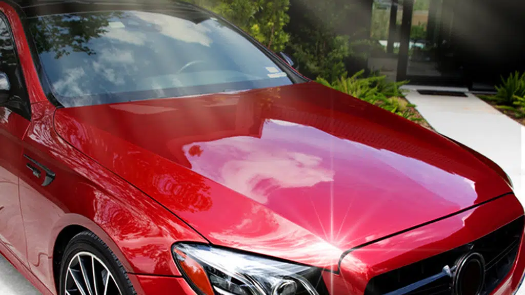 Turtle Wax Tirupati