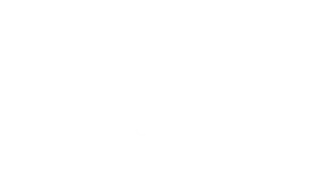 B-CAF - Bridging Culture and Arts Foundation