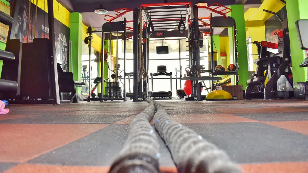 Star Gym and Fitness