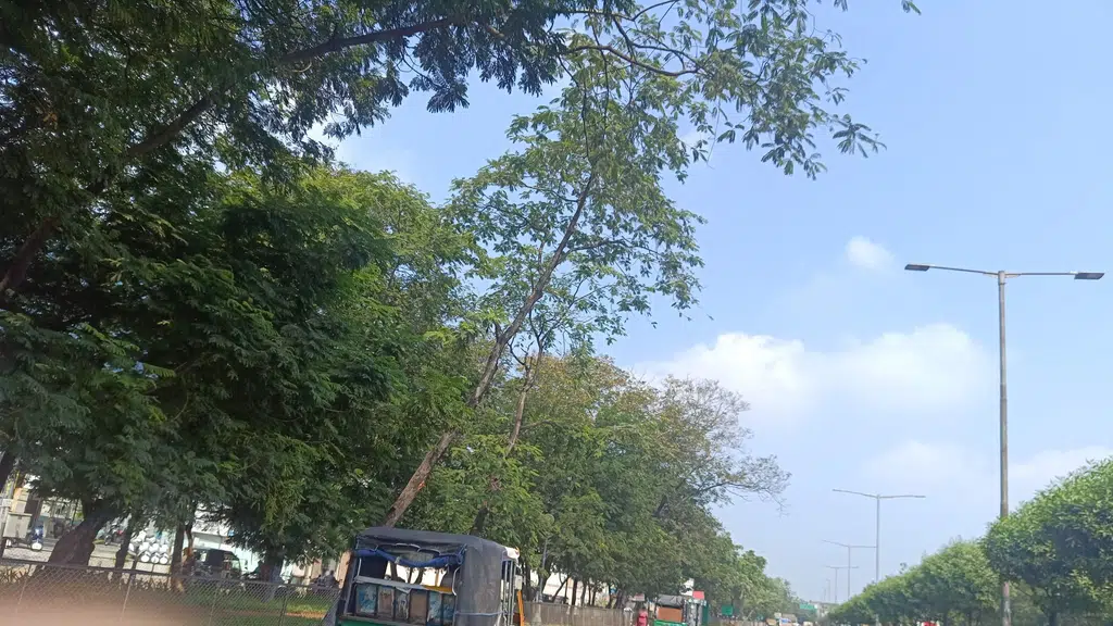 Purejal NTR District
