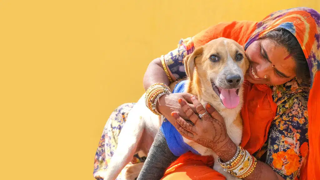 Animal Aid Hospital