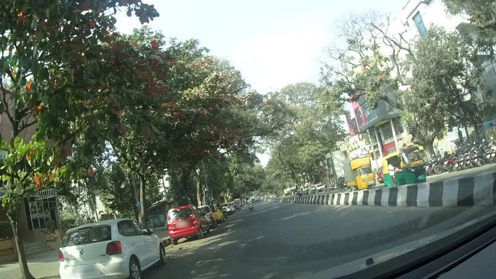 Kalyani Medicals