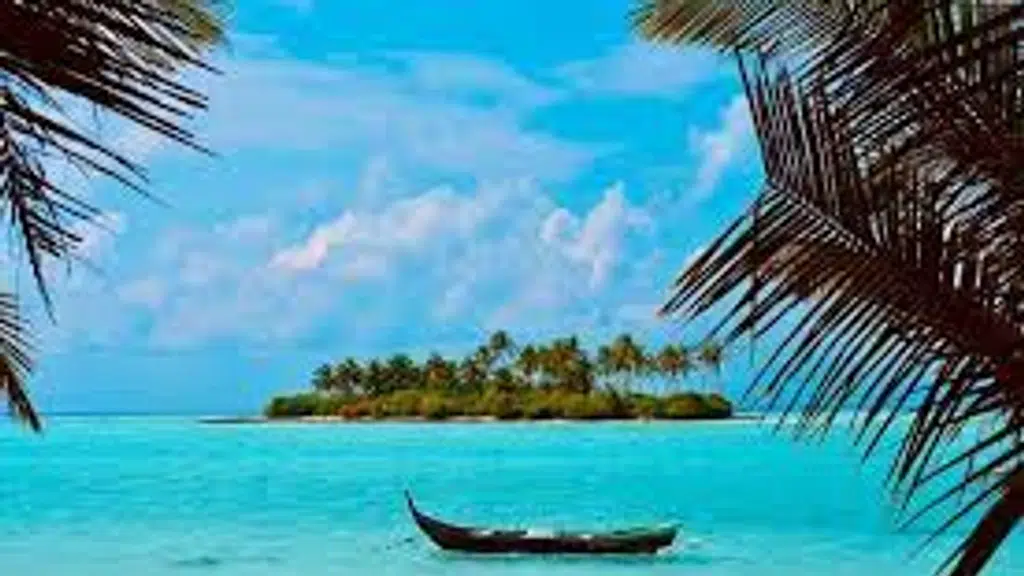 Travelvava