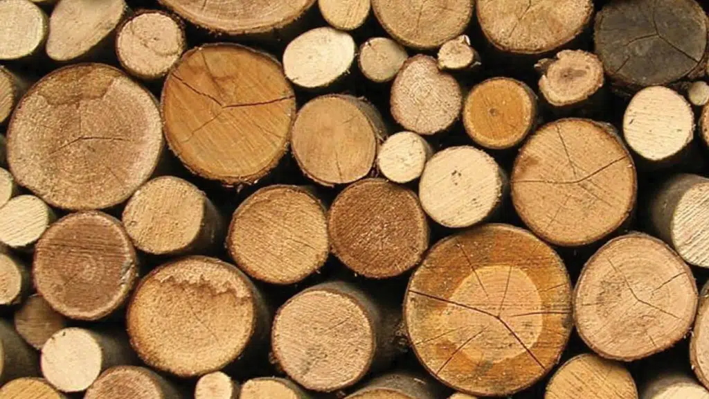 Raja and Raja Timber Merchants