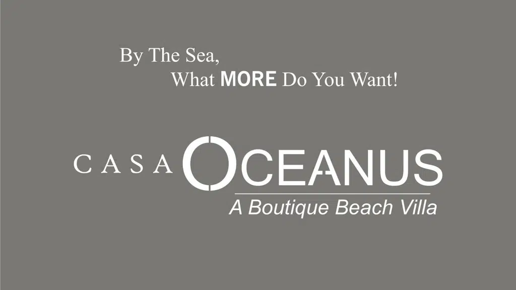 Casa Oceanus - Beach Villa