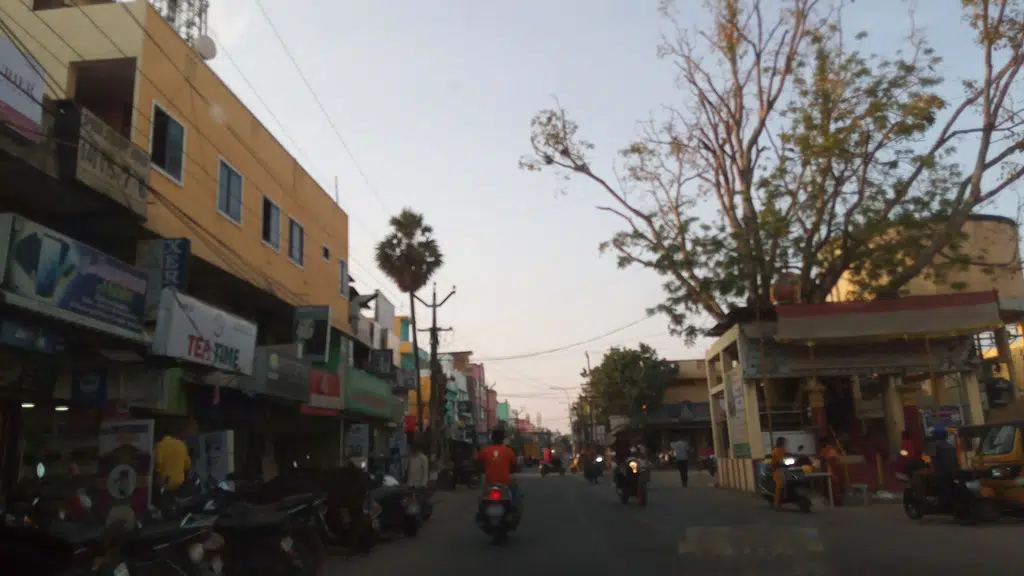 Pasumai Pazhamudir Cholai