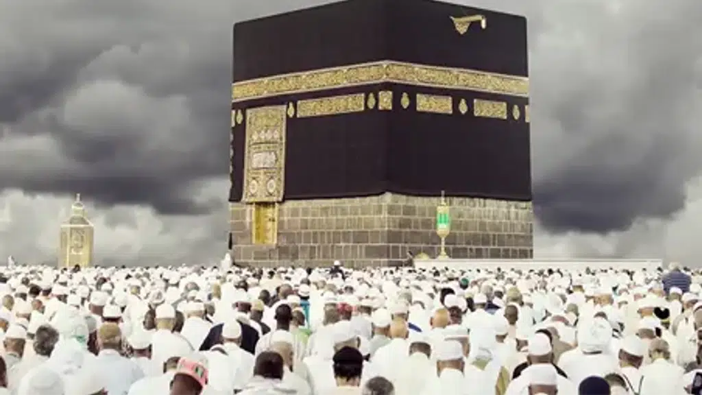 Hameedia Tours & Travels
